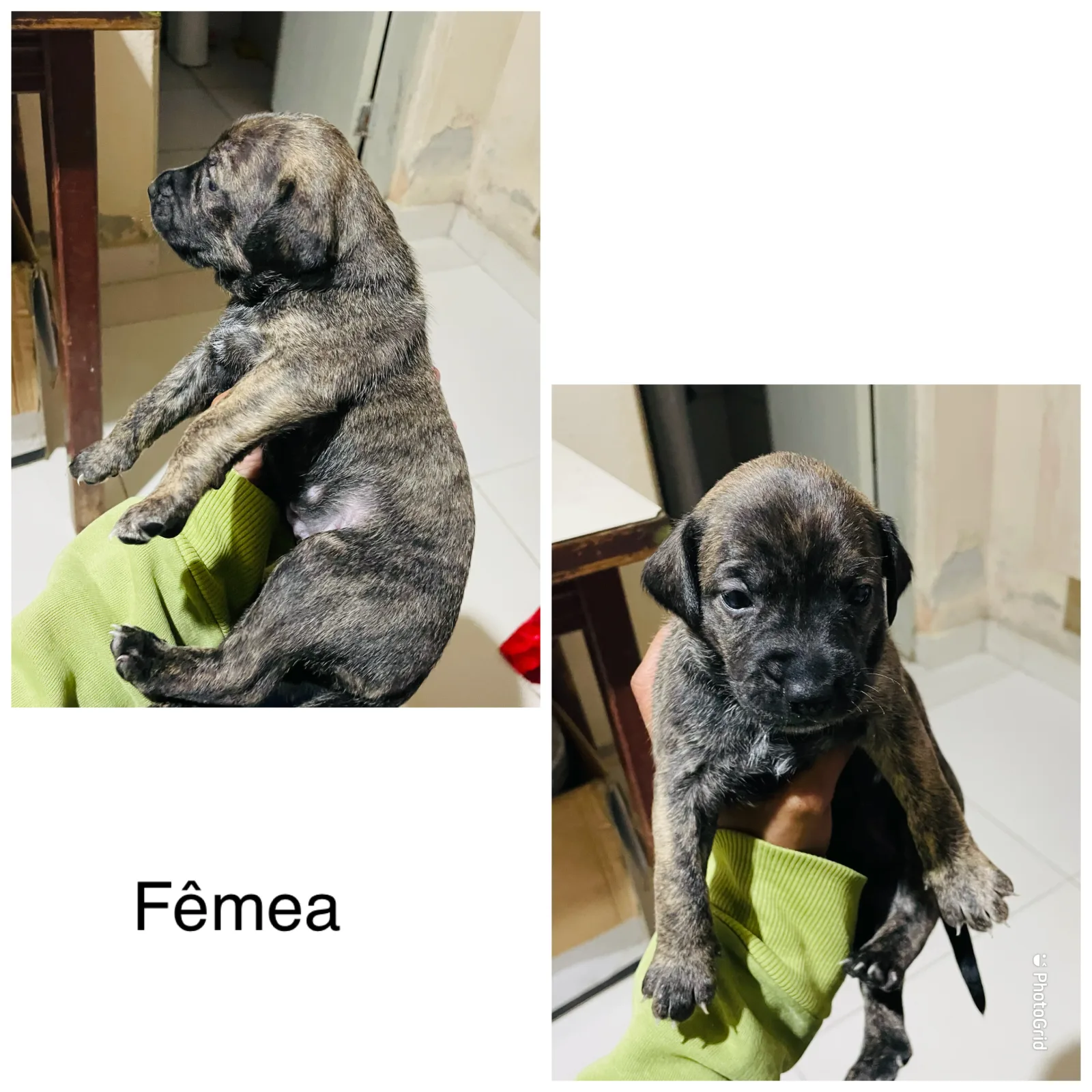 Foto de Não tem nome